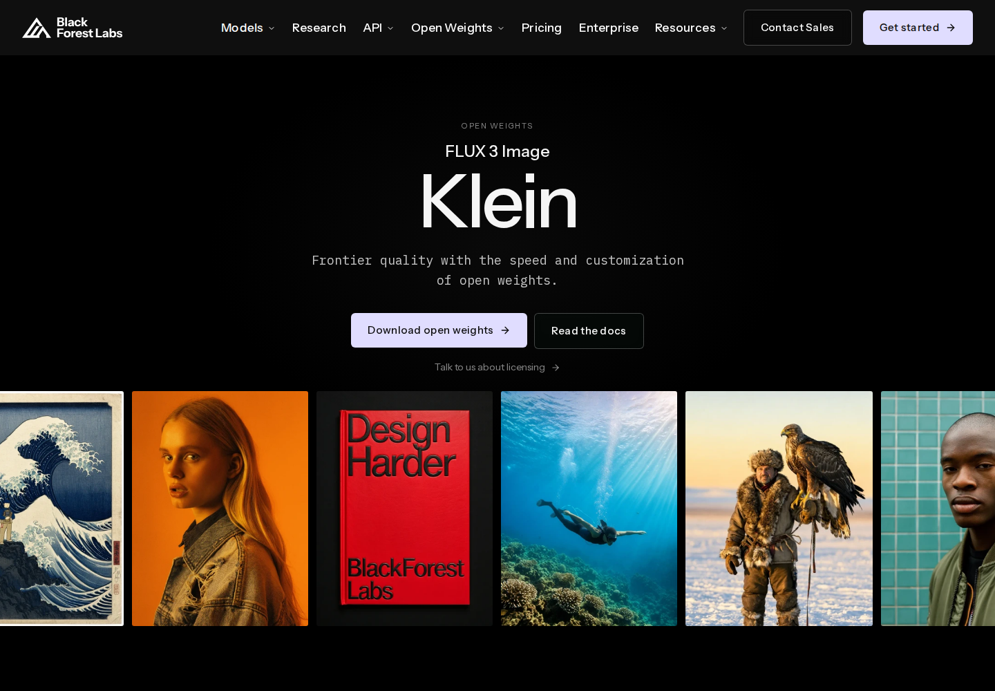 Screenshot of FLUX 3 Image Klein official website